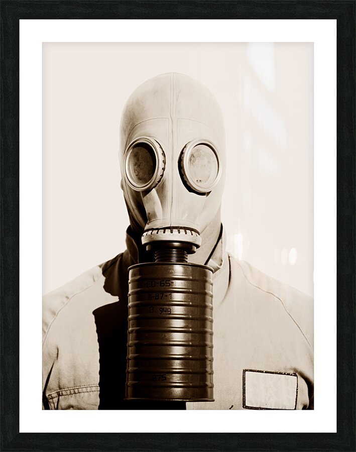 Toxic 1942 Picture Frame print