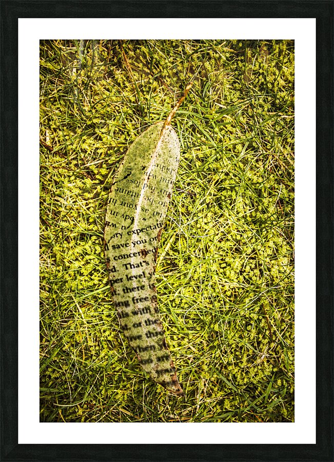 Wisdom in nature Picture Frame print