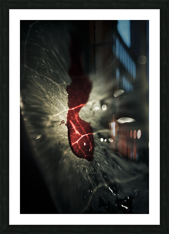 Bloody leaf evidence at a forest crime scene  Picture Frame print