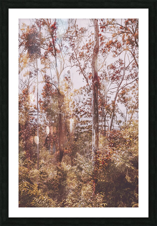 Backcountry colour Picture Frame print