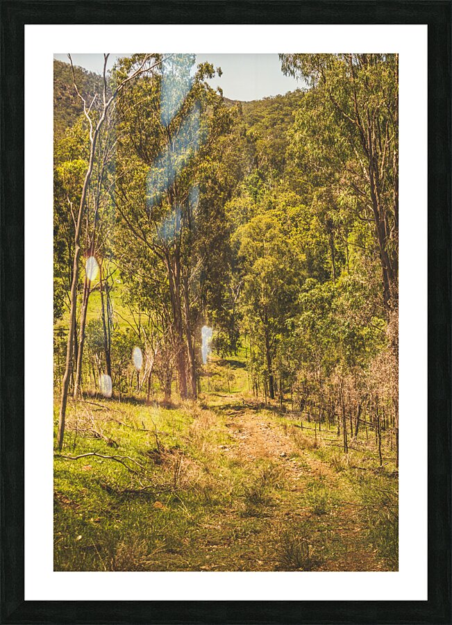 Lush country adventures Picture Frame print