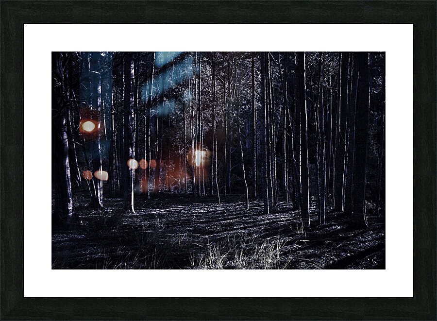 Night thicket  Picture Frame print