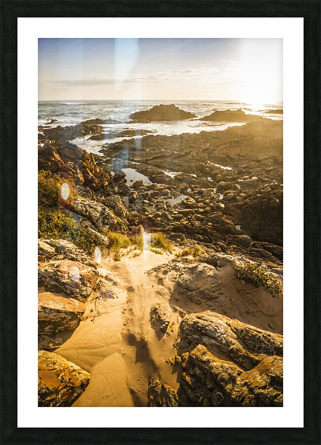 Shoreline Sunshine Picture Frame print