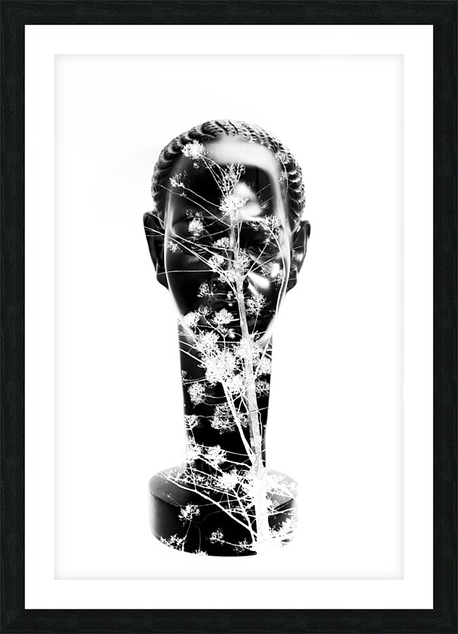 To plant a seed Picture Frame print