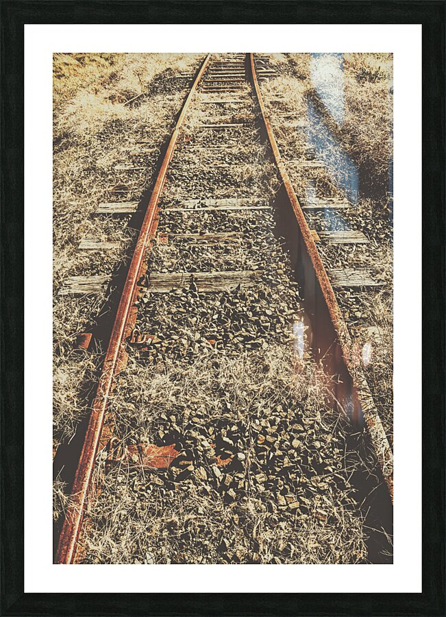 Western railway of routes forgotten Picture Frame print