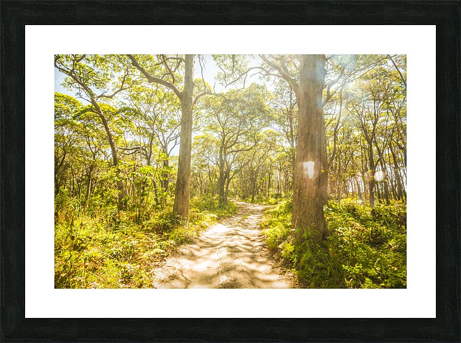 Wondersome Picture Frame print