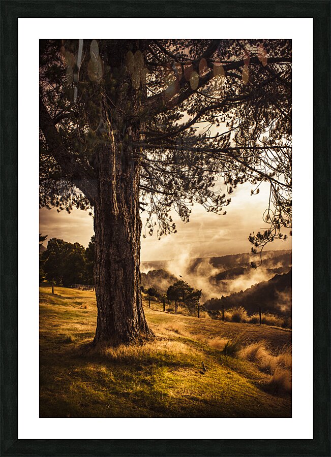 Beautiful autumn tree landscape in a serene park Picture Frame print