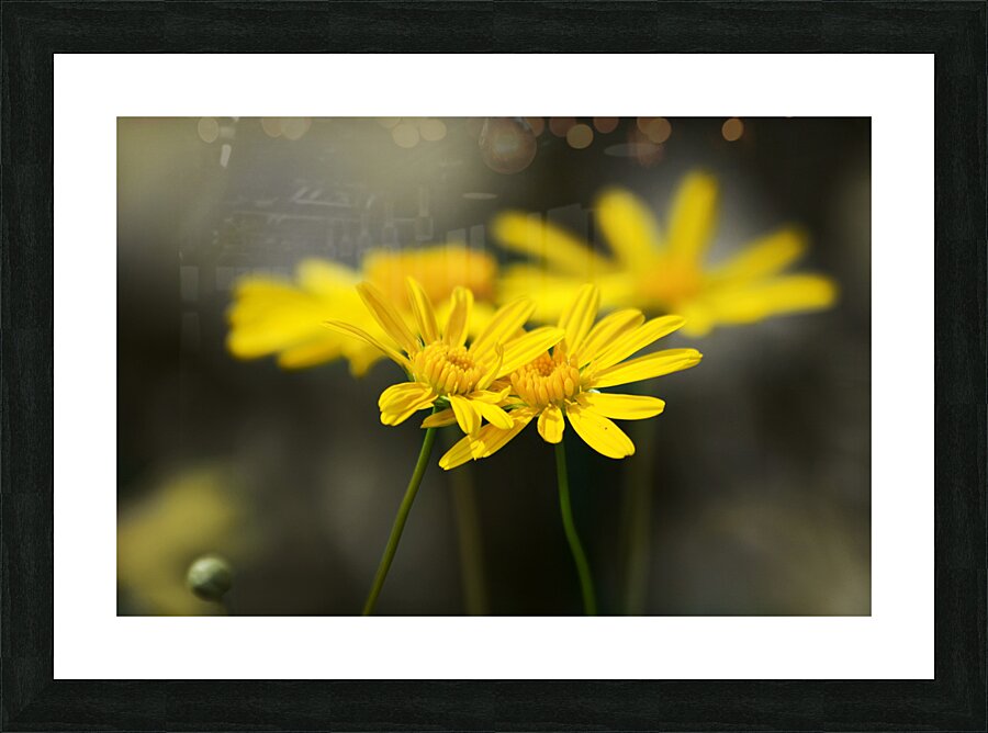 An Organic Connection Picture Frame print