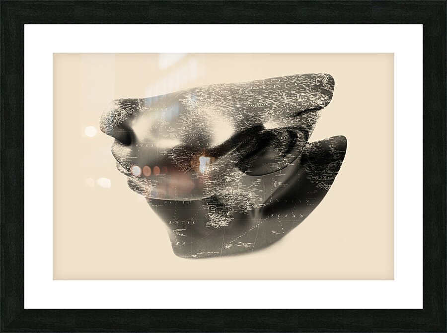 At lass  Picture Frame print