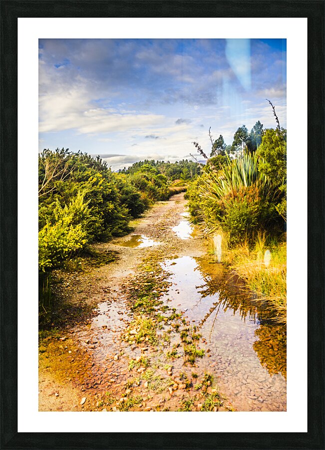 Scenic roads less travelled Picture Frame print