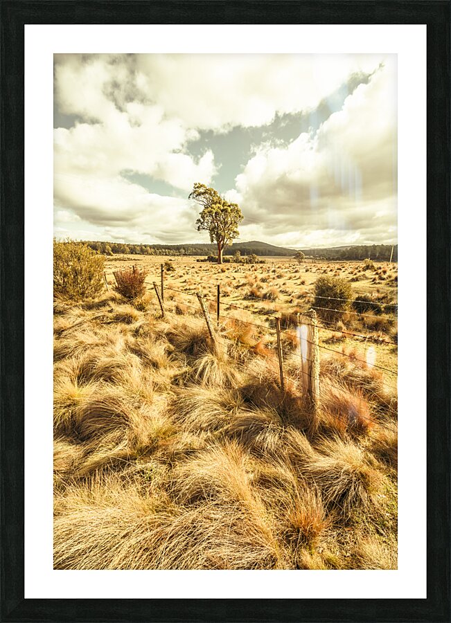 Peaceful country plains Picture Frame print