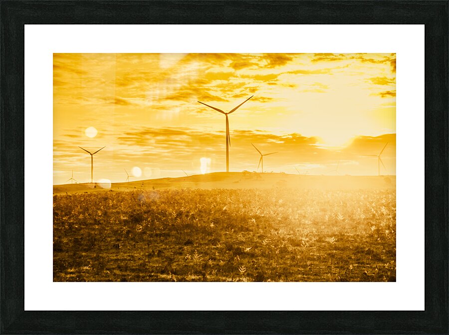 Musselroe Wind Farm Picture Frame print