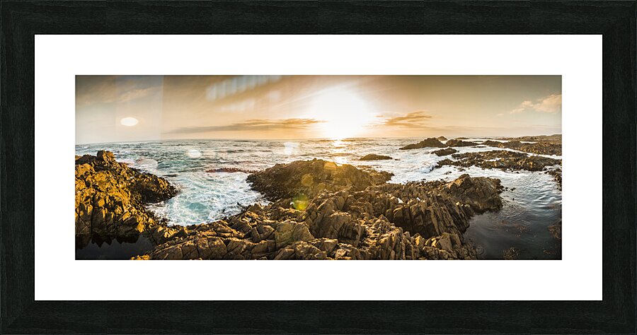 Insert unique ocean title here Picture Frame print