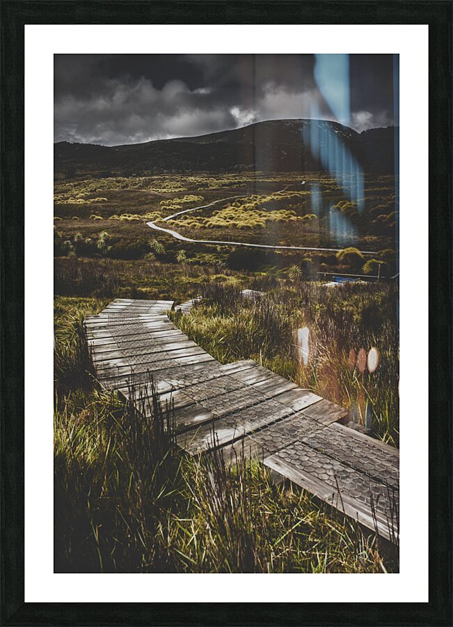 Hiking trail leading to distant Australia bushland Picture Frame print