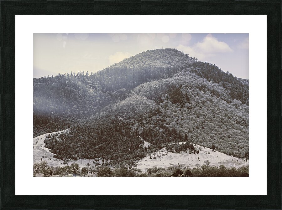 Sun lit serenity Picture Frame print