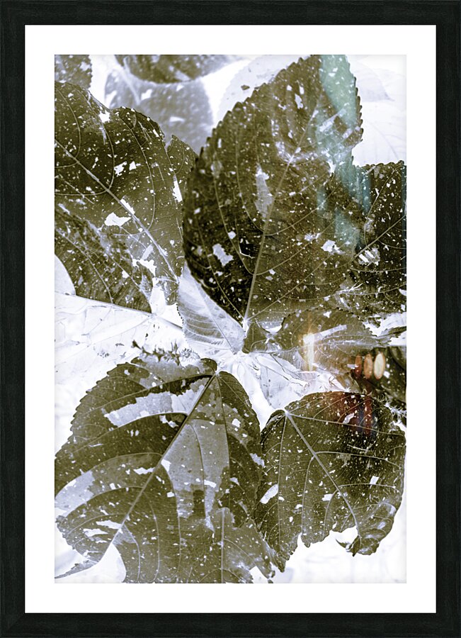 Spectral  Picture Frame print