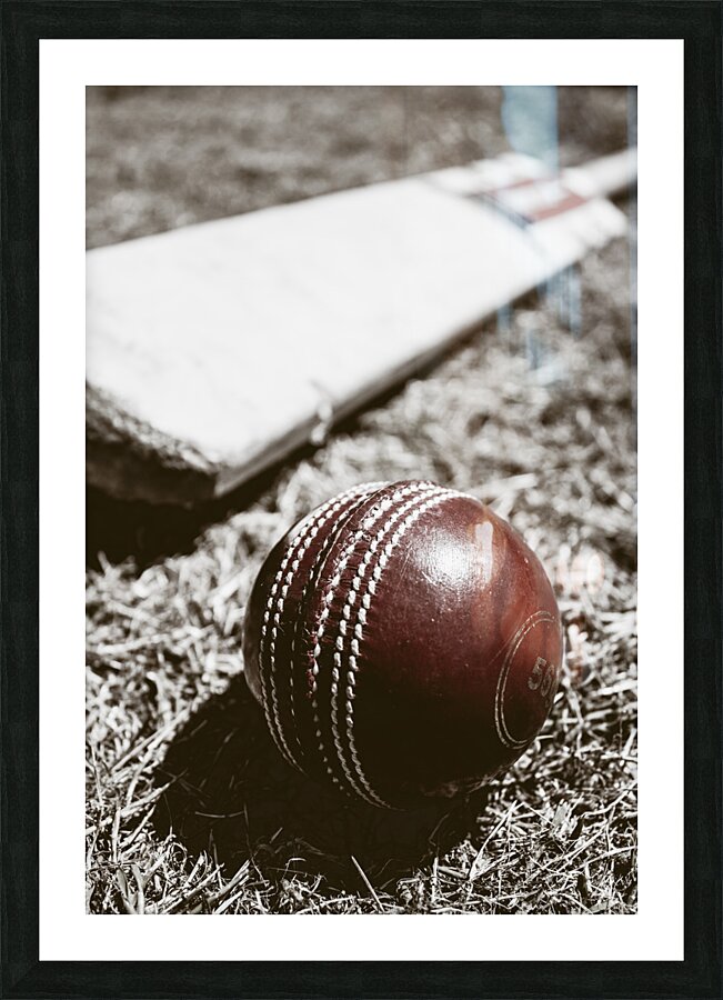 Vintage cricket Picture Frame print