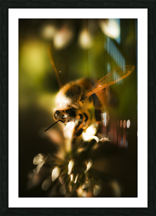 Fauna And Flora Meet Picture Frame print