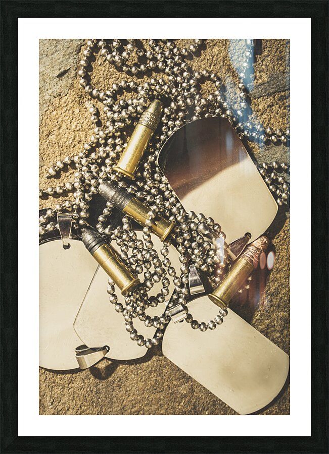 Reflections of battle Picture Frame print