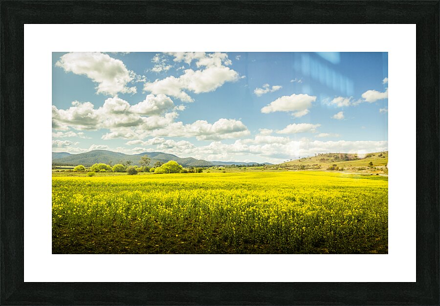 Farmland colour Picture Frame print