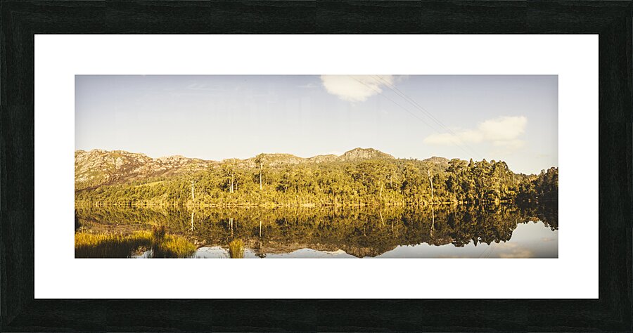 Treepanning Picture Frame print