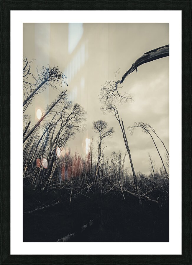 Grey winds bellow  Picture Frame print