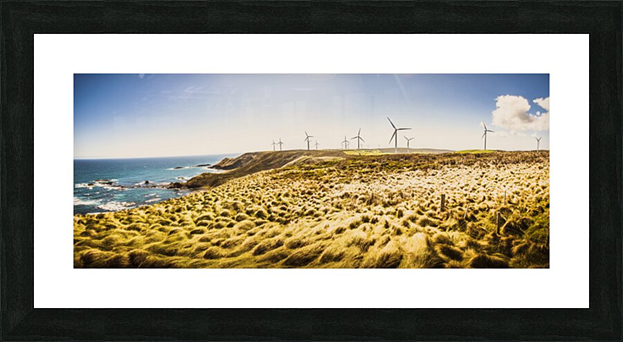 Windswept Tasmania Picture Frame print