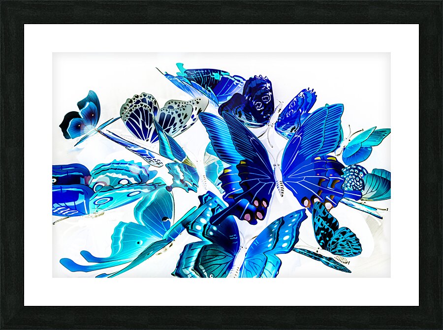 Blue buggery  Picture Frame print