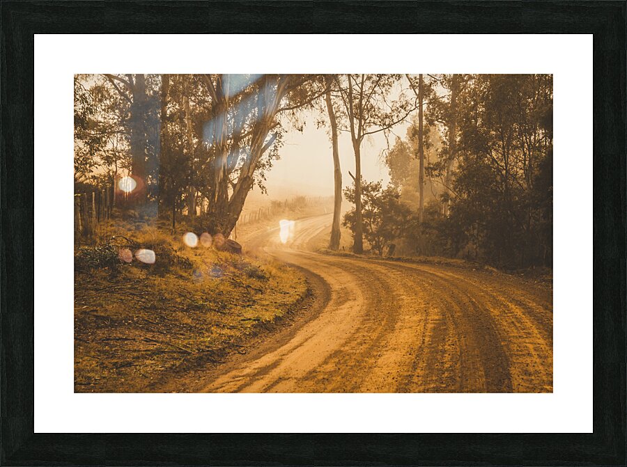 Mysterious autumn trail Picture Frame print