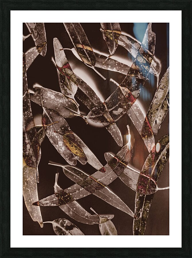 Nature in design Picture Frame print