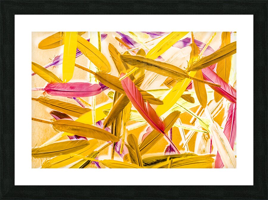 Palletry Plumes Picture Frame print
