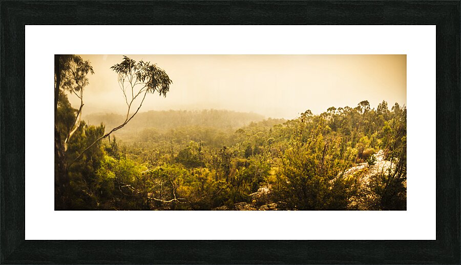 Land before time Picture Frame print