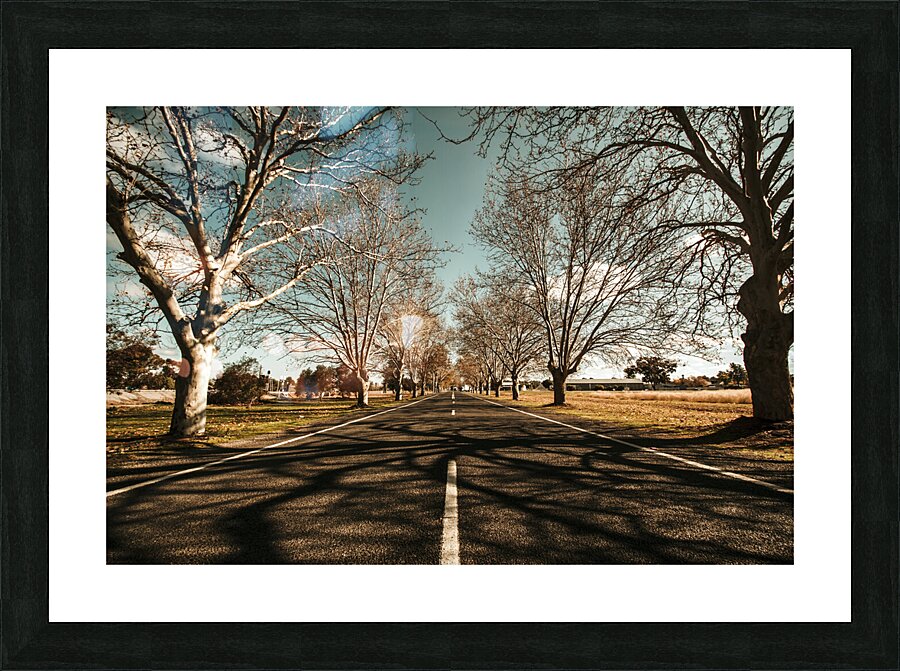 Entrance to Narrandera the Town of Trees Impression et Cadre photo