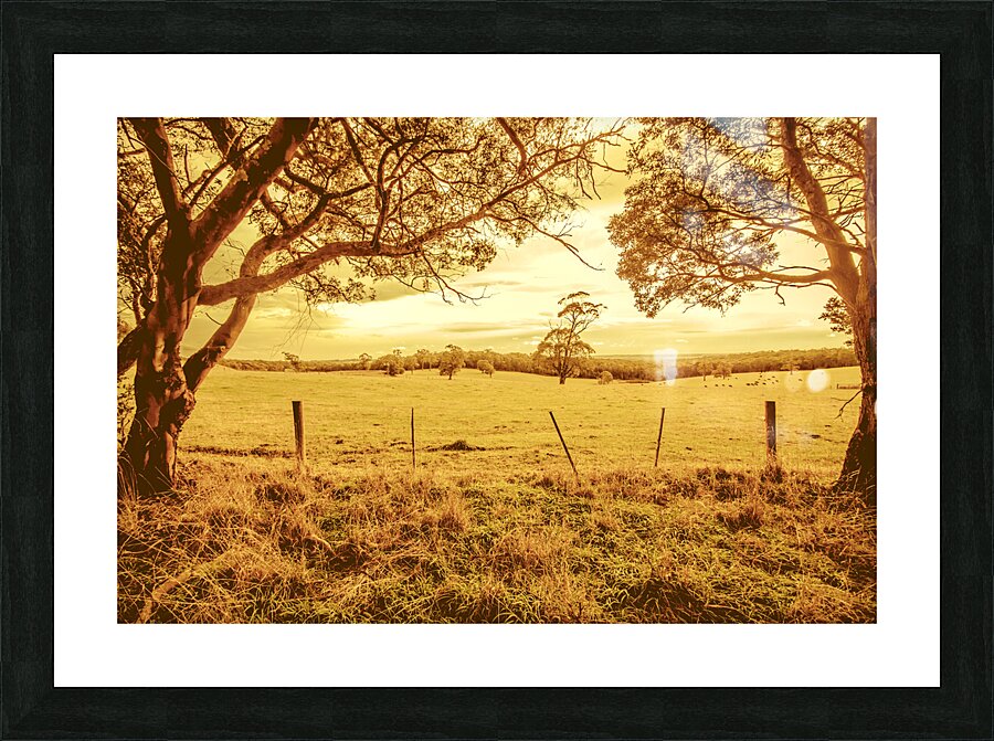 Autumn vista Picture Frame print