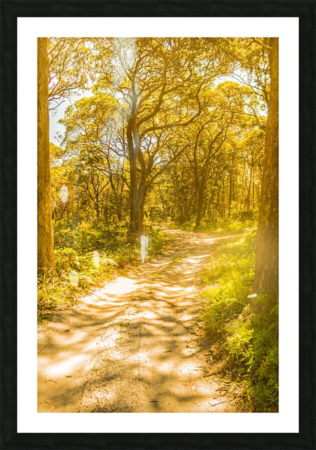 Waywoods  Picture Frame print