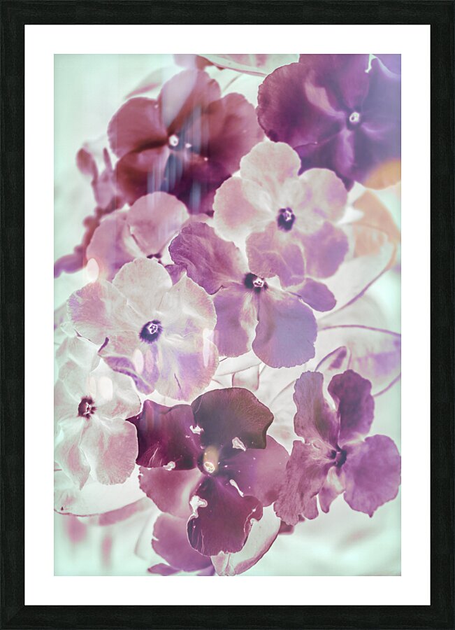 Wildflower pop  Picture Frame print