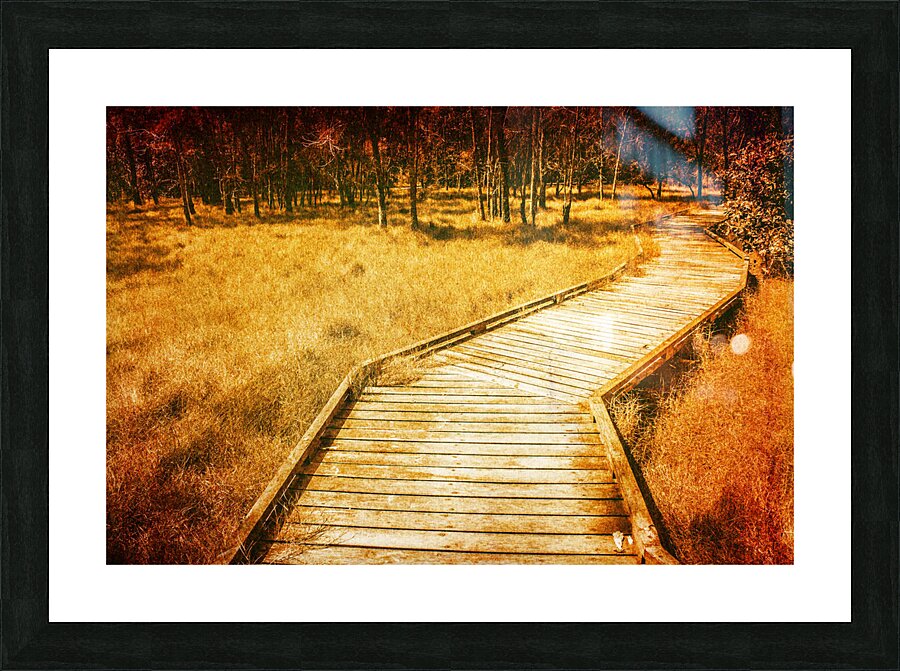 Boardwalk through vintage wetlands Picture Frame print
