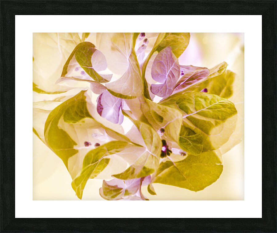 Pastel inverse Picture Frame print