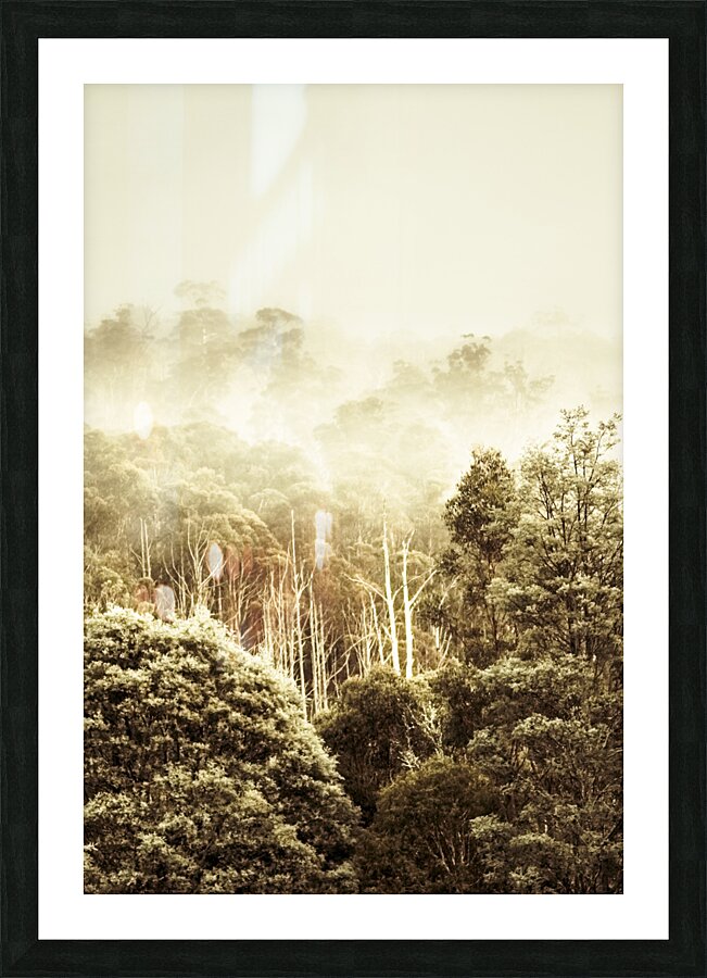 Rustic Tasmanian rural forest Picture Frame print