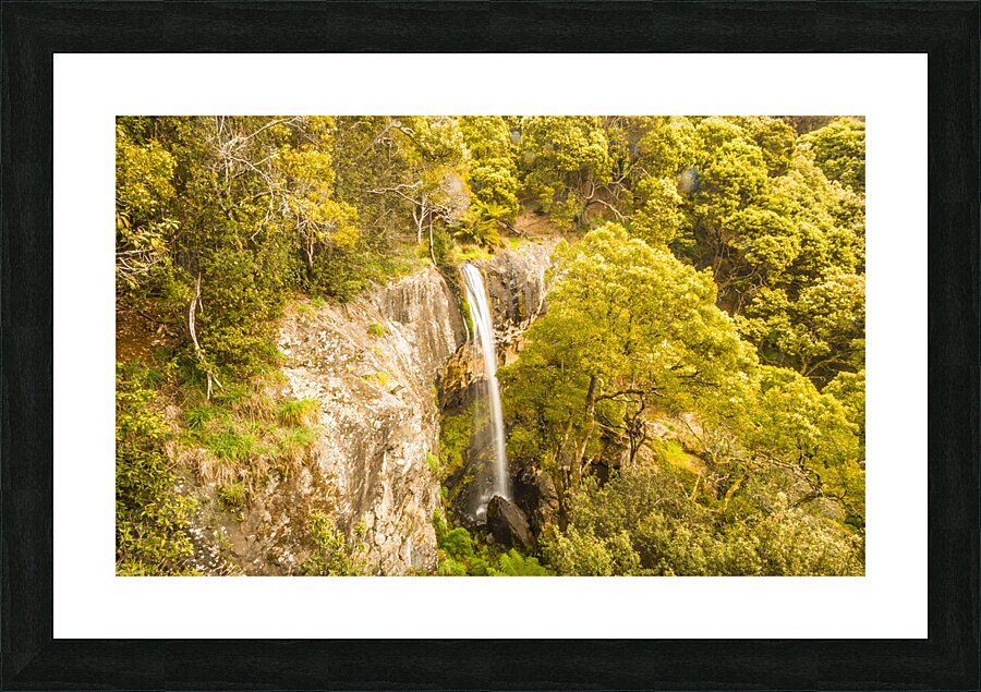 Scenic forest falls Picture Frame print