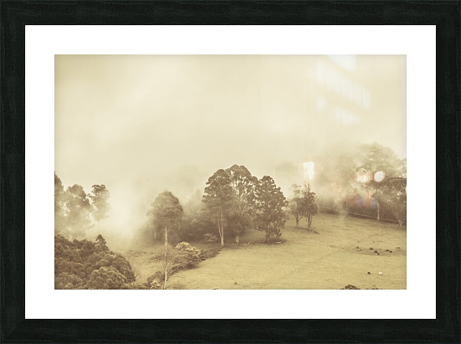 Hazy remote woodlands Picture Frame print