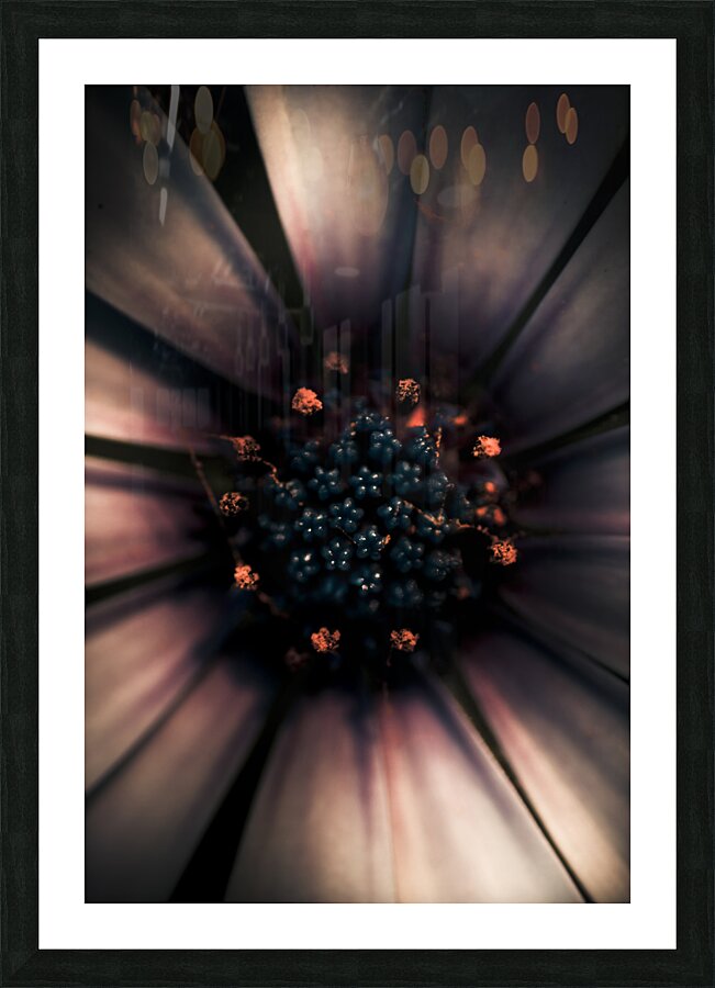 Spring Darkness Picture Frame print