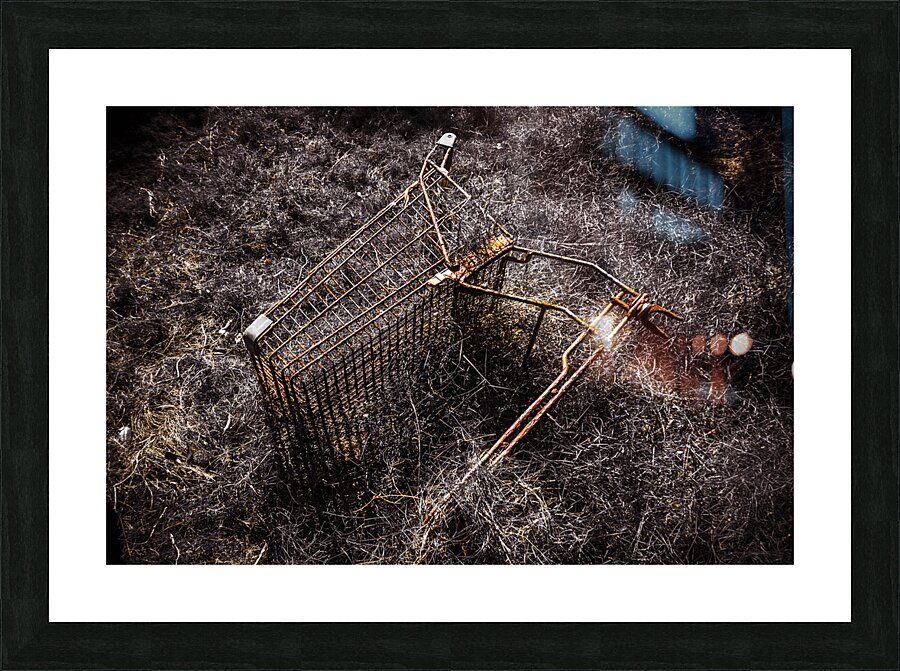 Coming to a store near you Picture Frame print