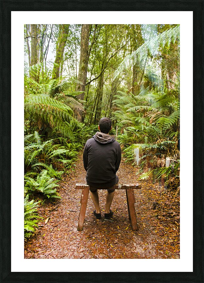 Travel man sitting in a green lush fern forest Picture Frame print