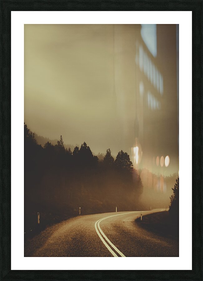 View of abandoned country road in foggy forest Picture Frame print