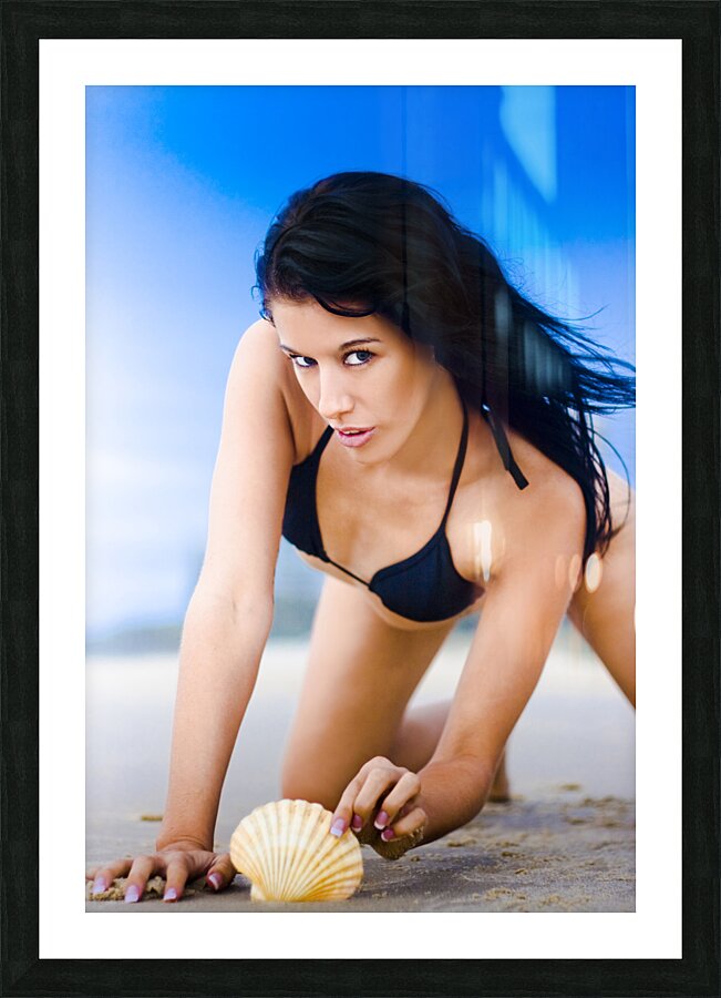 Shell Search Discovery Picture Frame print