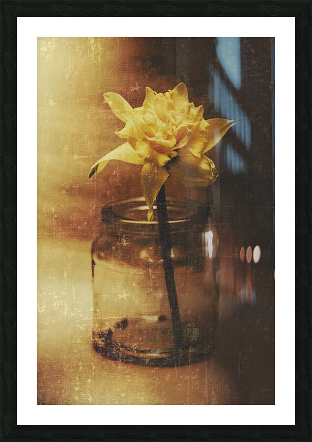 Vintage daffodil flower art Picture Frame print