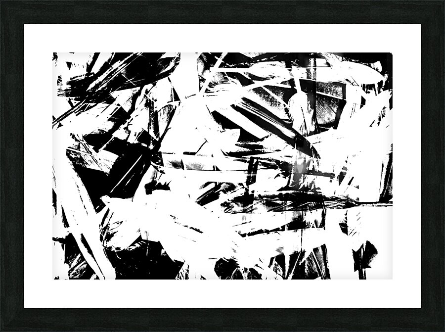 Feathermentary  Picture Frame print