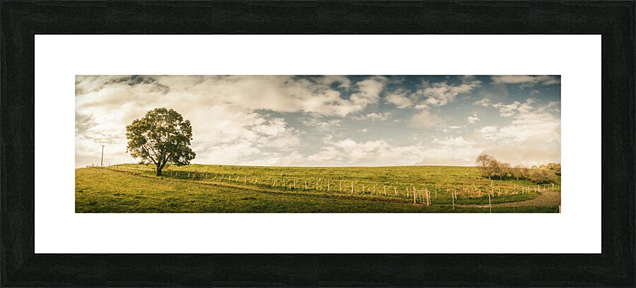 Camena Tasmania country panorama Picture Frame print