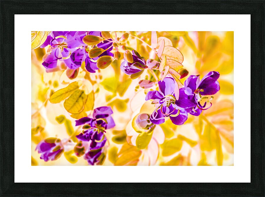 Retro vibrancy Picture Frame print